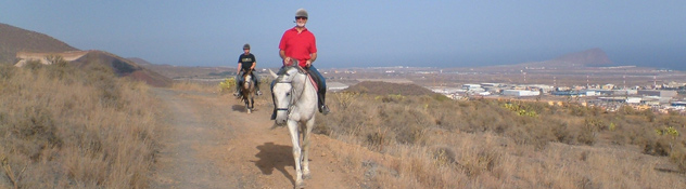 Tenerife Horse Riding